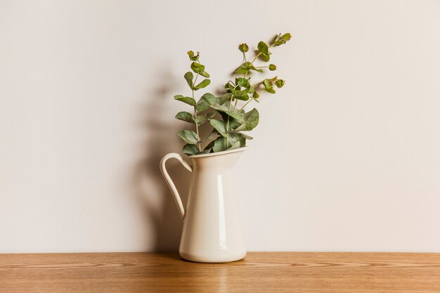 Plante sur la surface en bois