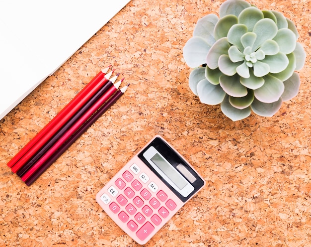 Plante verte près de la calculatrice, du papier et des crayons