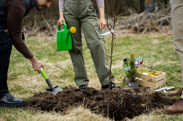 Planter des arbres dans le cadre du processus de reboisement