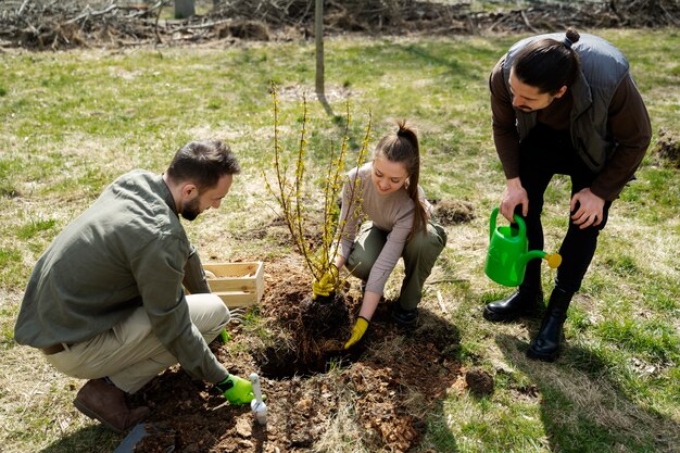 Planter des arbres dans le cadre du processus de reboisement