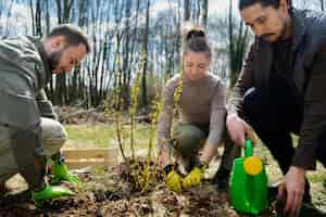 Photo gratuite planter des arbres dans le cadre du processus de reboisement