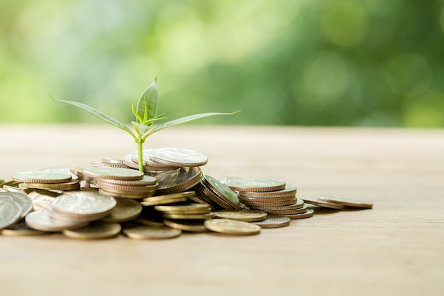 Photo gratuite planter des arbres sur une pile de monnaie avec la lumière du soleil