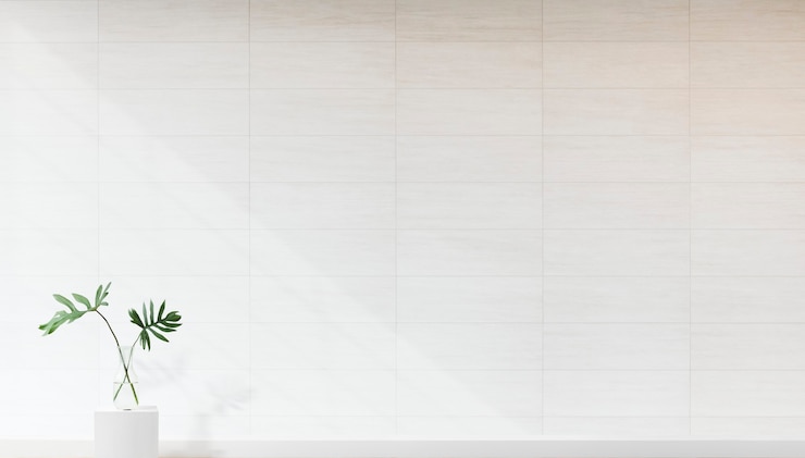Photo gratuit planter contre une maquette de mur blanc