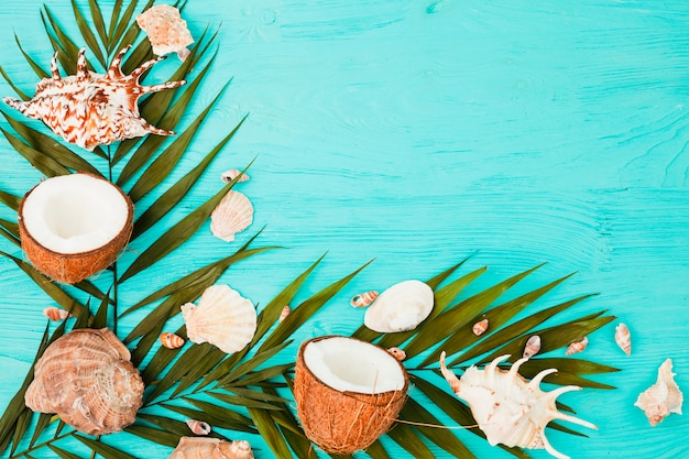 Photo gratuite planter des feuilles près des noix de coco et des coquillages à bord