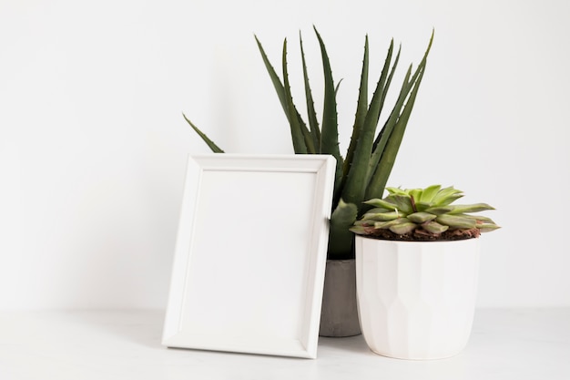 Photo gratuite plantes de bureau avec cadre