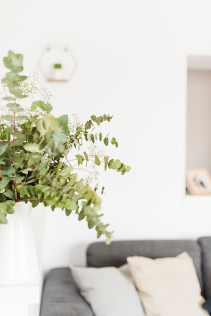 Plantes et fleurs décoratives dans une maison