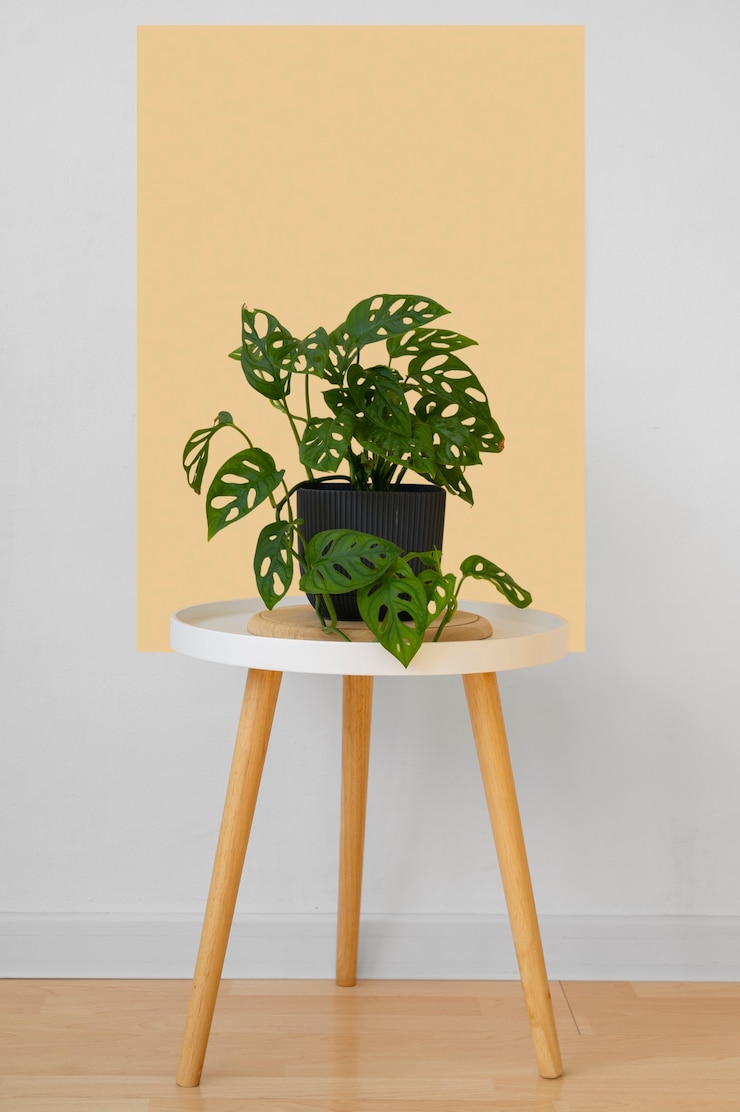Photo gratuit plantes d'intérieur dans le studio