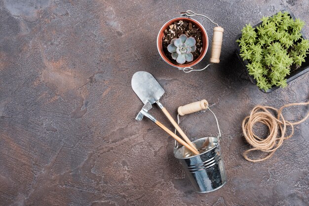 Plantes et outils de jardinage avec espace de copie