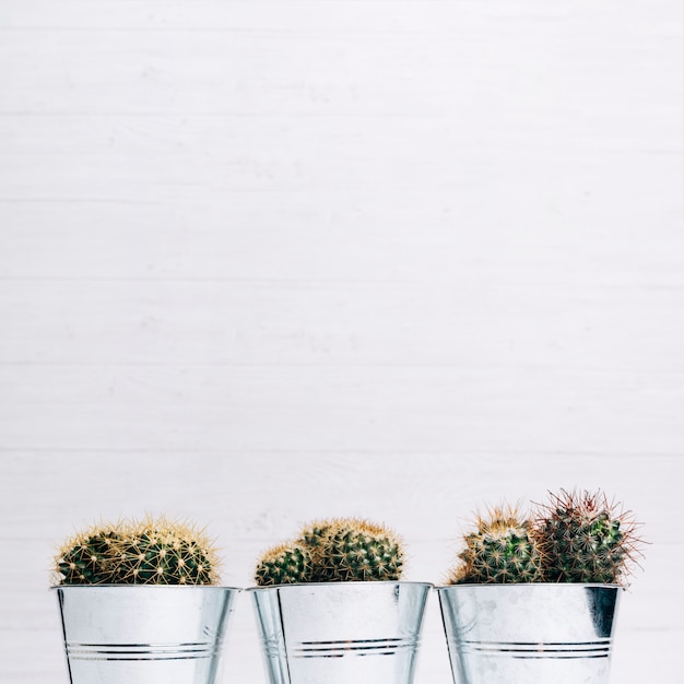 Photo gratuite plantes en pot de cactus sur fond en bois