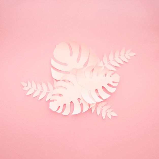 Plantes tropicales dans le style du papier découpé sur fond rose