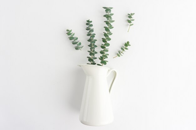 Plantes et vase sur la surface blanche
