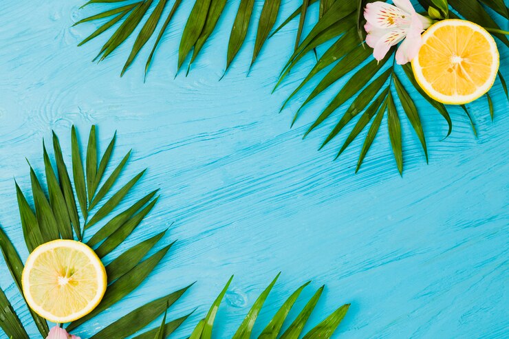 Photo gratuit plantez des feuilles et des oranges près des fleurs