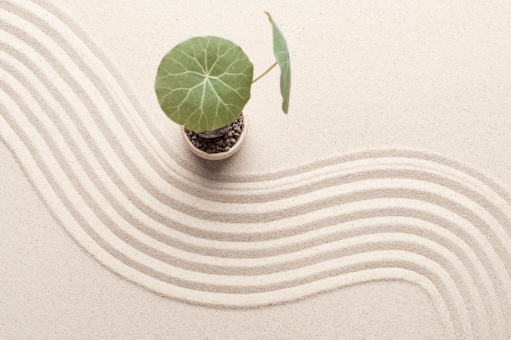 Photo gratuit plantez sur le fond de sable de plage dans le concept de santé et de bien-être