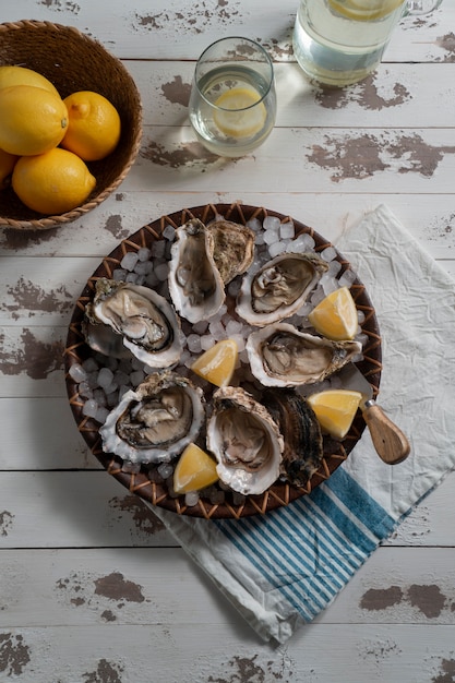 Photo gratuite plat composé d'huîtres aux agrumes et glaçons