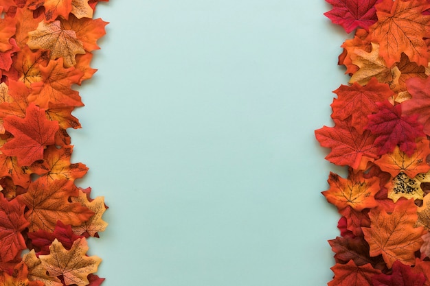 Photo gratuite plat double face des feuilles d'automne