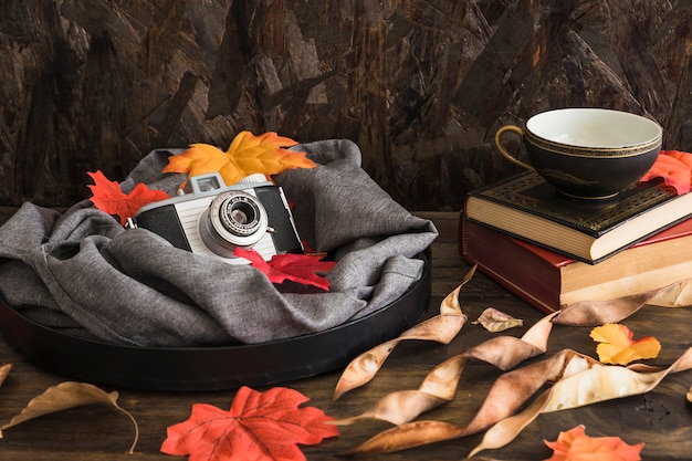 Plateau avec appareil photo et feuilles près des livres et de la tasse