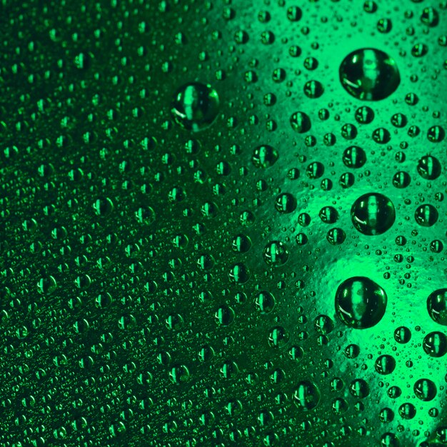 Plein cadre de bulles transparentes sur le fond texturé vert