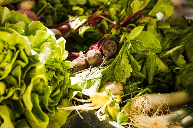 Plein cadre de divers légumes feuillus frais à vendre