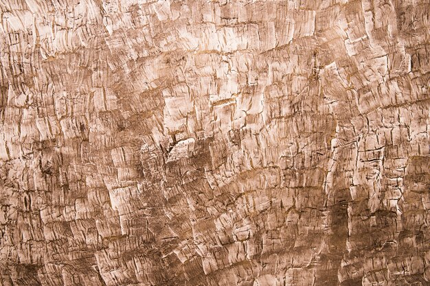 Plein cadre de fond texturé en bois