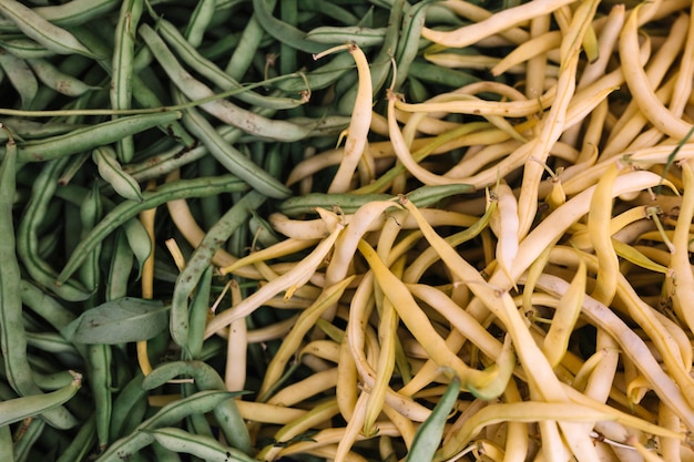 Plein cadre de haricots blancs et verts minces