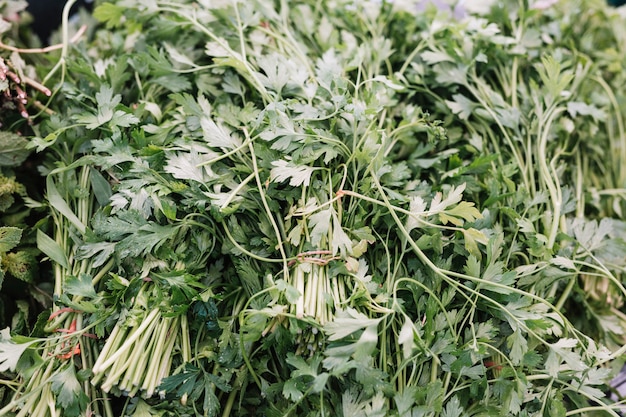 Plein cadre d&#39;herbe fraîchement persillée