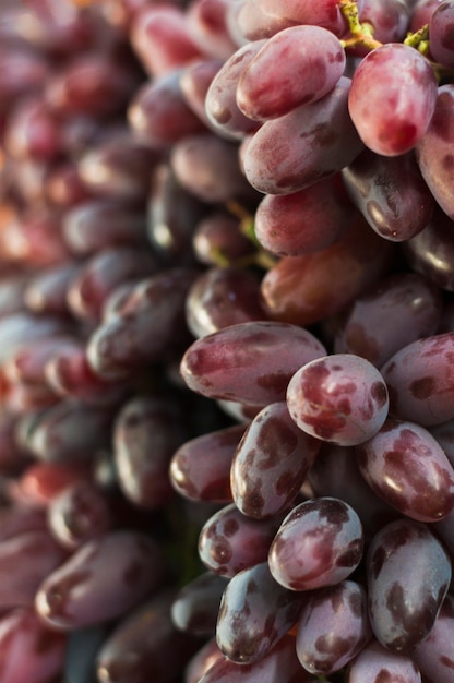 Plein cadre de raisins rouges mûrs