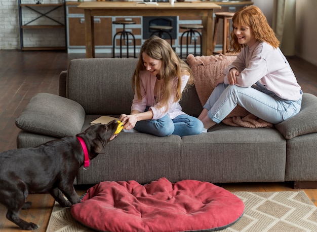 Plein coup de femmes jouant avec un animal de compagnie