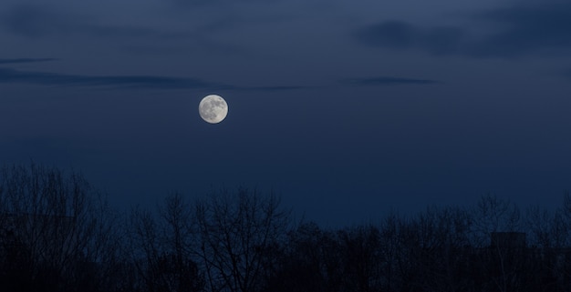 Photo gratuite pleine lune dans le ciel sombre au lever de la lune