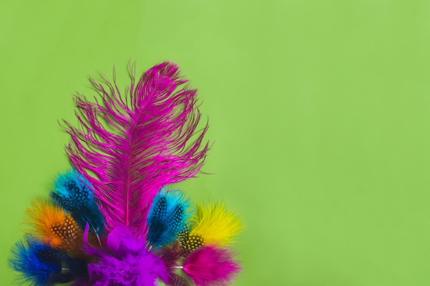 plumes colorées sur une table verte