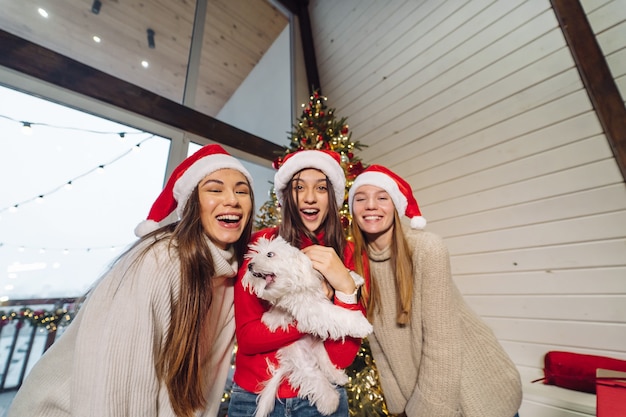 Plusieurs filles jouent avec un petit chien le soir du Nouvel An à la maison