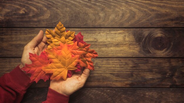 Une poignée de feuilles d'érable d'automne brillantes