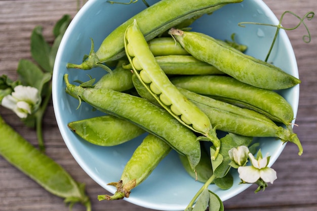 Pois verts frais dans un bol