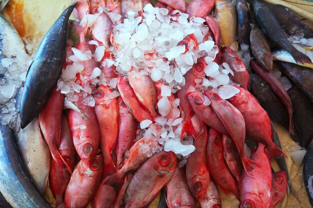 poisson sur comptoir du marché