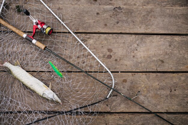 Poisson fraîchement pêché à l&#39;intérieur du filet de pêche avec canne à pêche