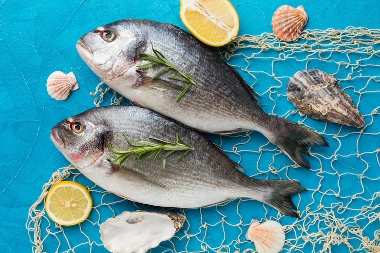 Photo gratuit poissons à plat avec filet de pêche