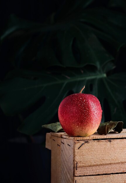 Pomme rouge dans des gouttes d'eau sur une boîte en bois sur un fond sombre avec des feuilles de monstère mise au point sélective en gros plan