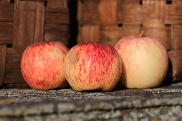 Pommes sur un banc en bois vieux rétro vintage style rustique été automne