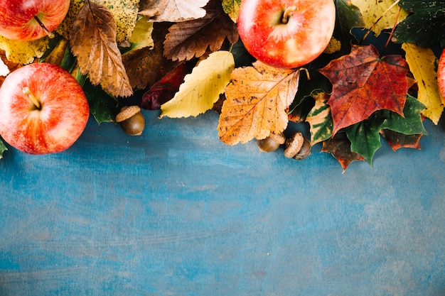 Pommes et feuillage en arrangement