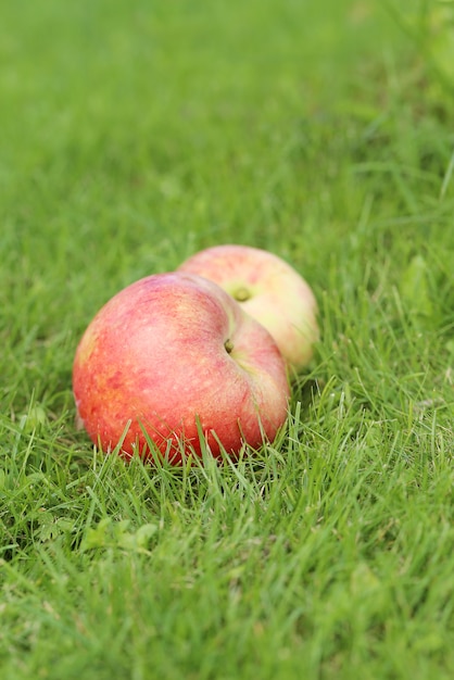 Photo gratuite pommes sur l'herbe