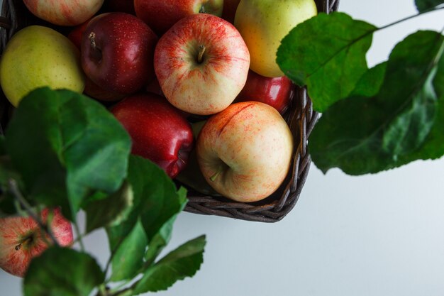 Pommes plates dans une boîte avec des feuilles sur fond blanc. espace horizontal pour le texte