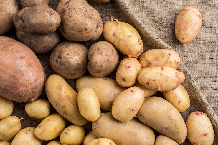 Photo gratuit pommes de terre crues à angle élevé