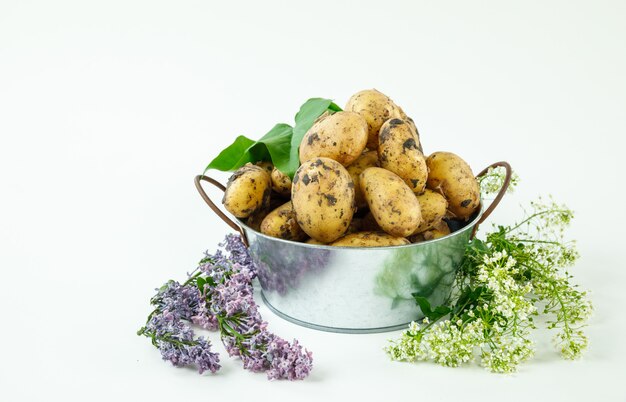 Pommes de terre fraîches dans une casserole en métal avec fleurs et feuilles vue latérale