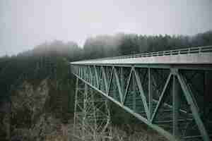 Photo gratuite pont en arc en acier vert dans une forêt couverte de brouillard par une journée sombre