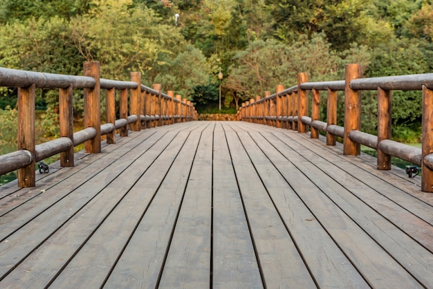 Photo gratuite pont de bois avec de la végétation de fond