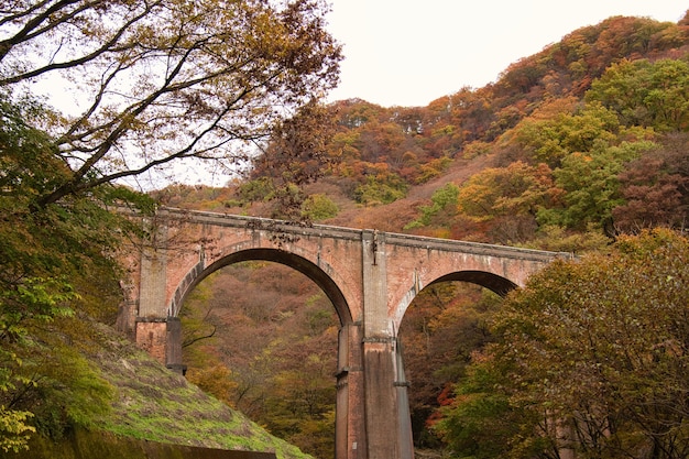 Photo gratuite pont dans le col usui annaka au japon