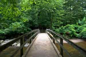 Photo gratuite pont dans le parc