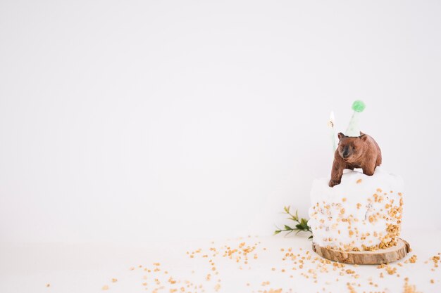 Porter en chapeau de fête sur le gâteau