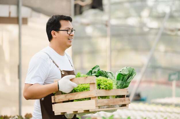 Portrait d'un agriculteur asiatique tenant une boîte en bois pleine de crudités fraîches. Concept de ferme biologique.