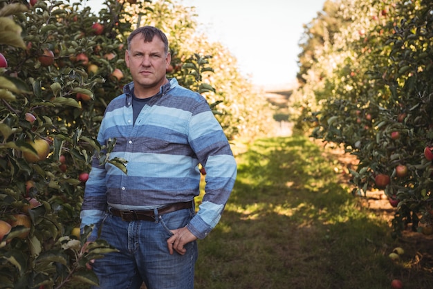 Portrait d'agriculteur debout dans un verger de pommiers