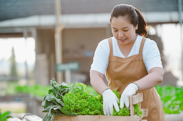 Portrait d'une agricultrice asiatique regardant des légumes dans un champ et vérifiant la qualité des récoltes. Concept de ferme biologique.